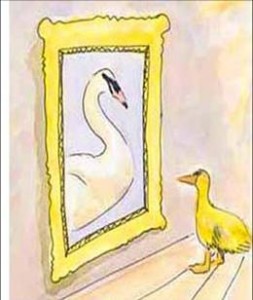 Ugly Duckling Swan Mirror